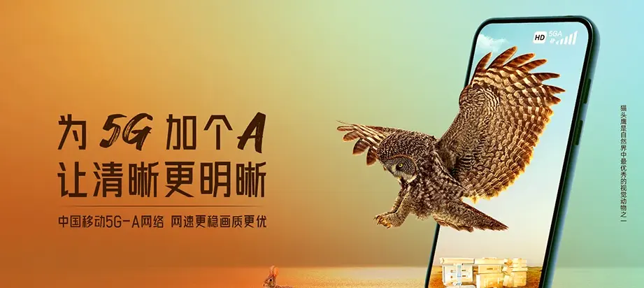 东宝区东宝区牌楼镇 移动宽带